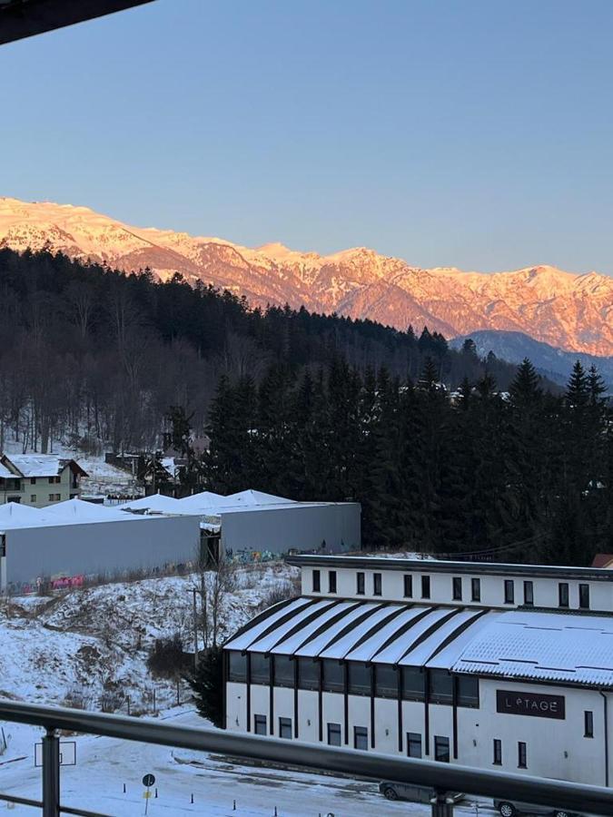 Coca Apart Mountain View Sinaia Exteriér fotografie