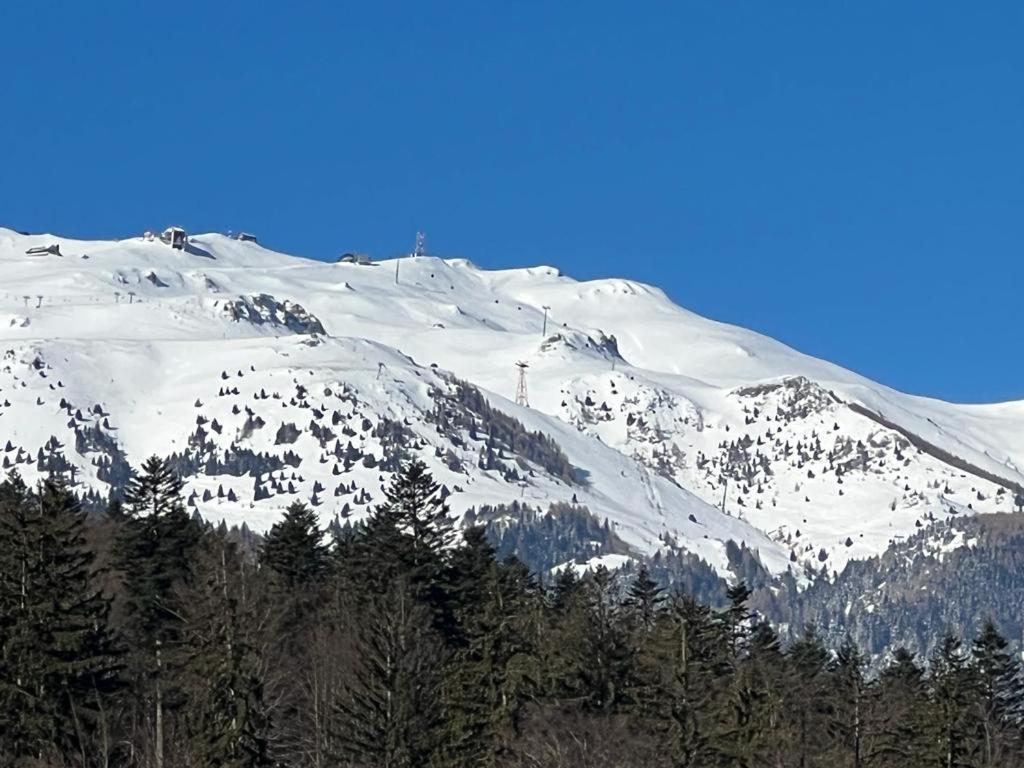 Coca Apart Mountain View Sinaia Exteriér fotografie