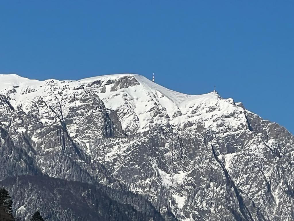 Coca Apart Mountain View Sinaia Exteriér fotografie