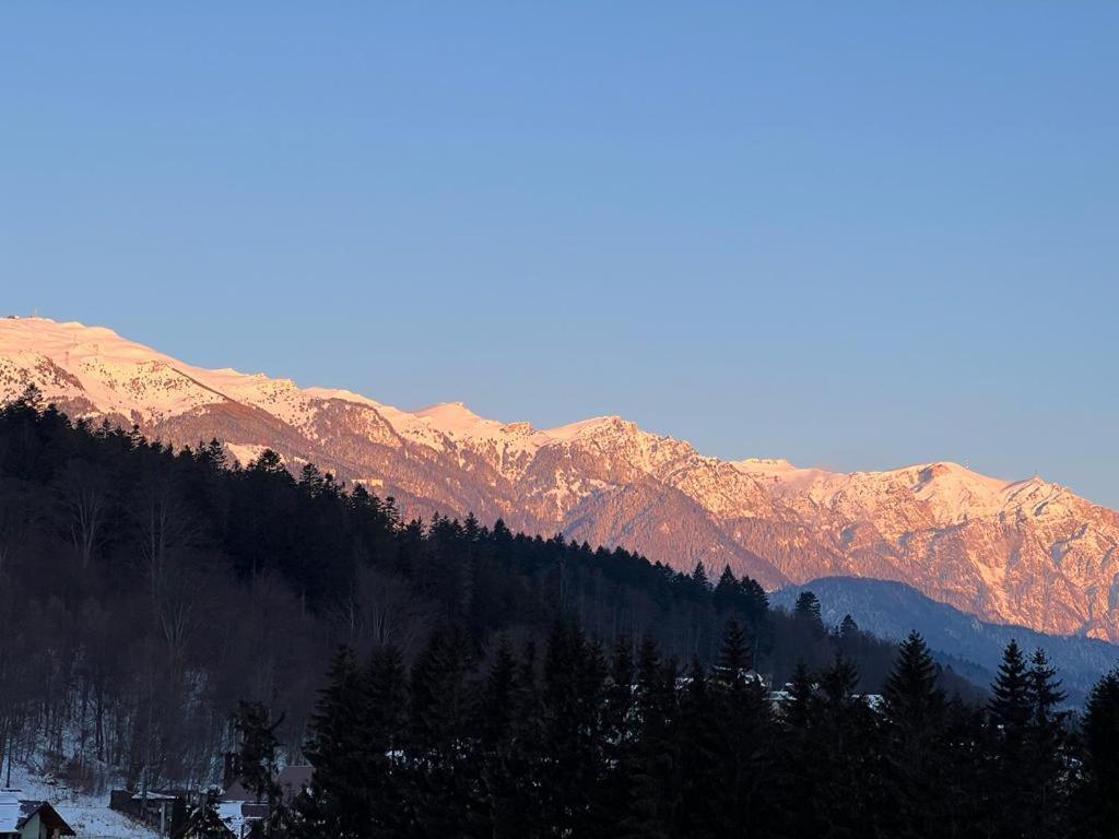 Coca Apart Mountain View Sinaia Exteriér fotografie