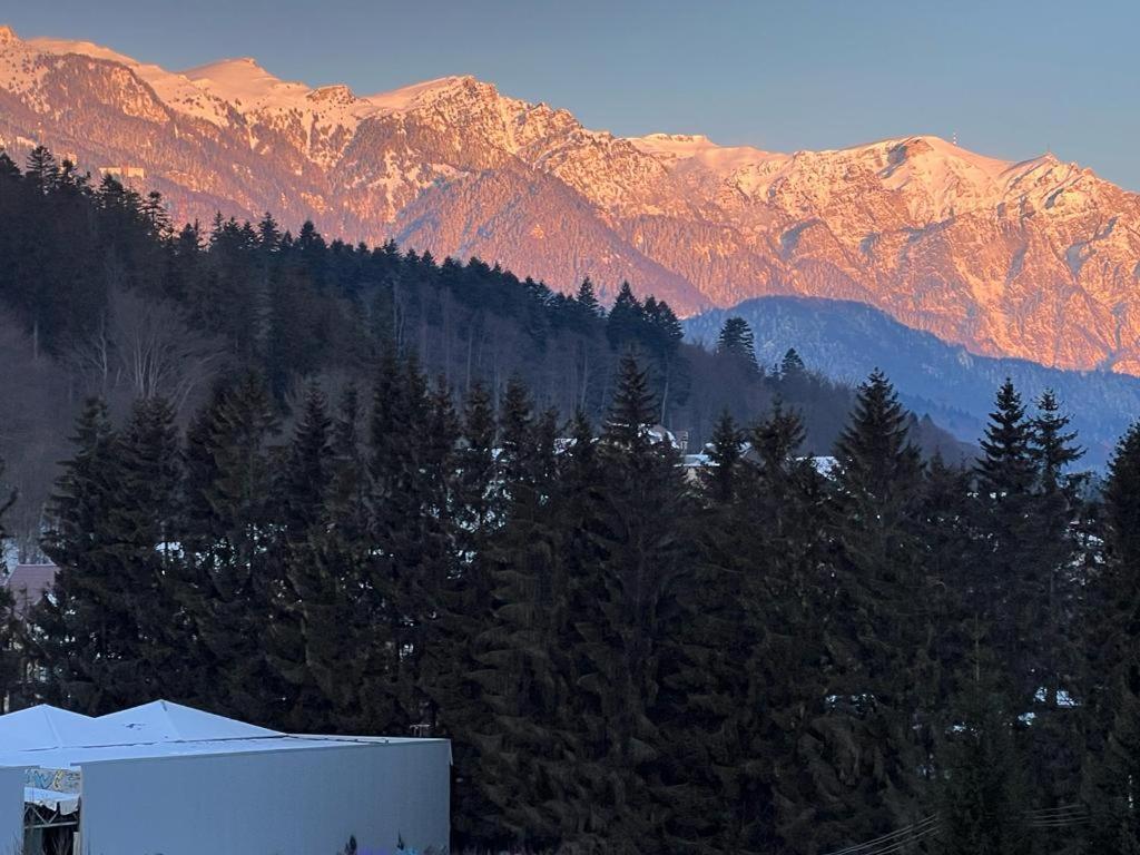 Coca Apart Mountain View Sinaia Exteriér fotografie