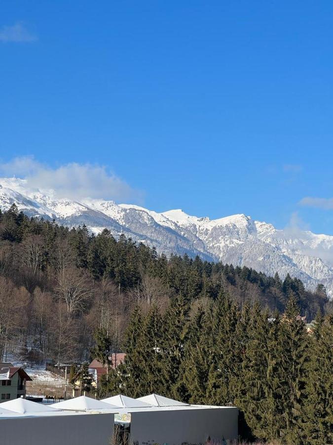 Coca Apart Mountain View Sinaia Exteriér fotografie