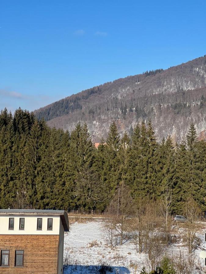 Coca Apart Mountain View Sinaia Exteriér fotografie