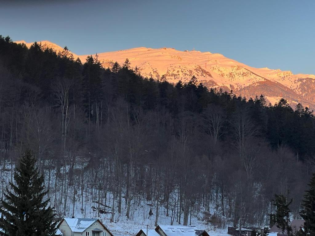Coca Apart Mountain View Sinaia Exteriér fotografie