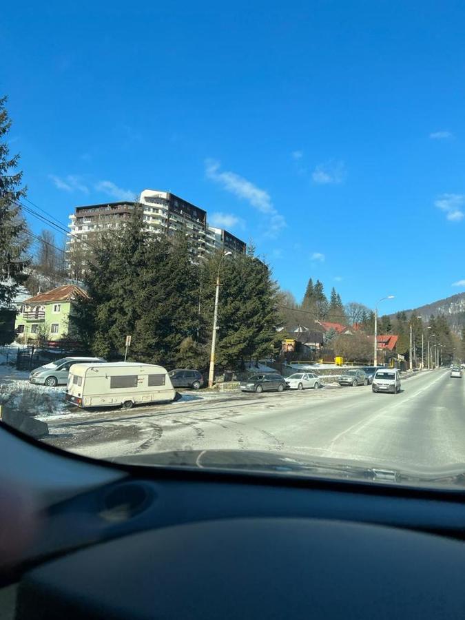 Coca Apart Mountain View Sinaia Exteriér fotografie