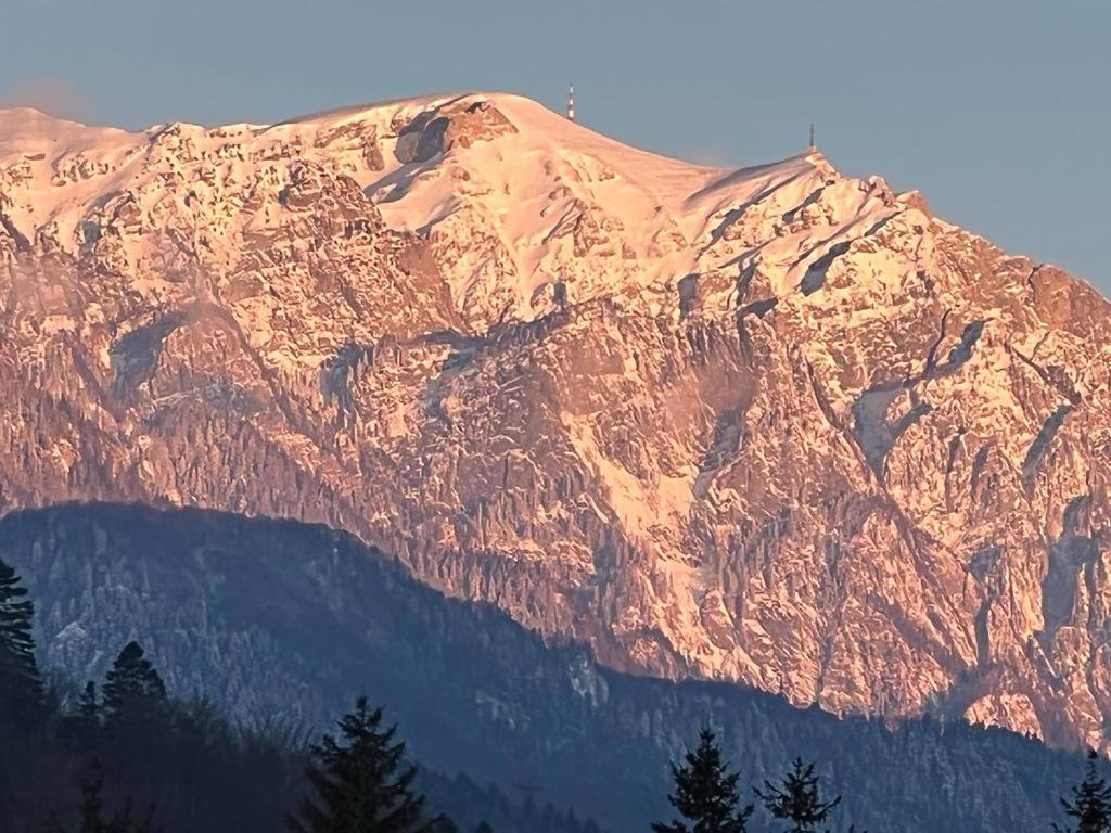 Coca Apart Mountain View Sinaia Exteriér fotografie