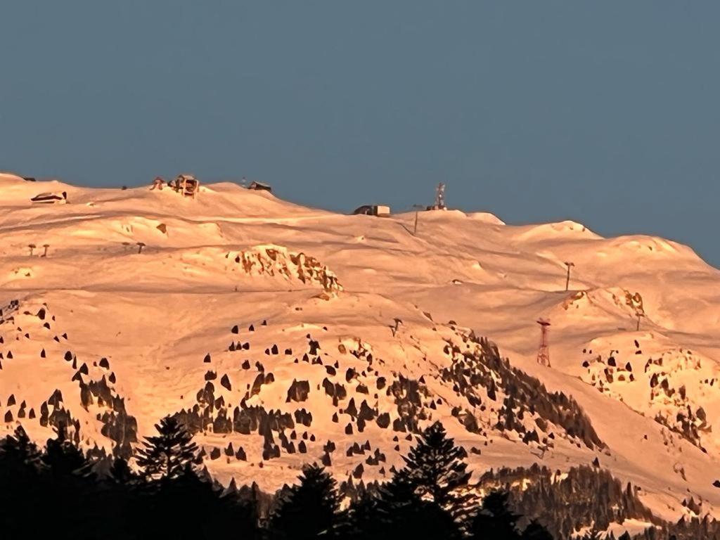 Coca Apart Mountain View Sinaia Exteriér fotografie