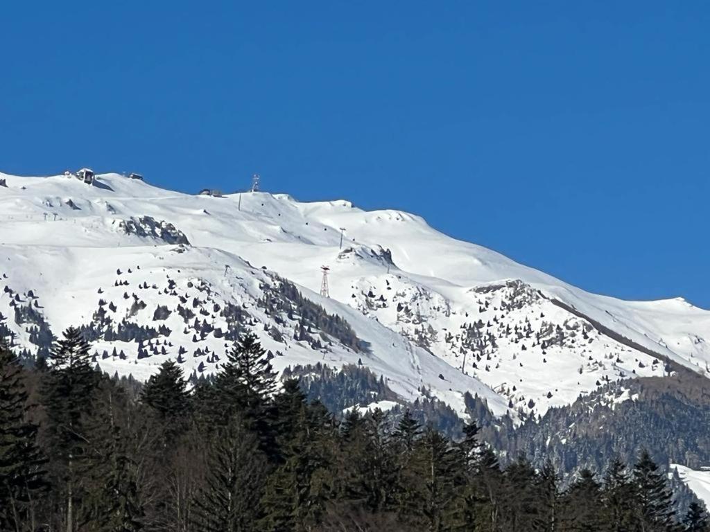 Coca Apart Mountain View Sinaia Exteriér fotografie
