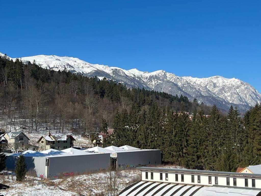 Coca Apart Mountain View Sinaia Exteriér fotografie