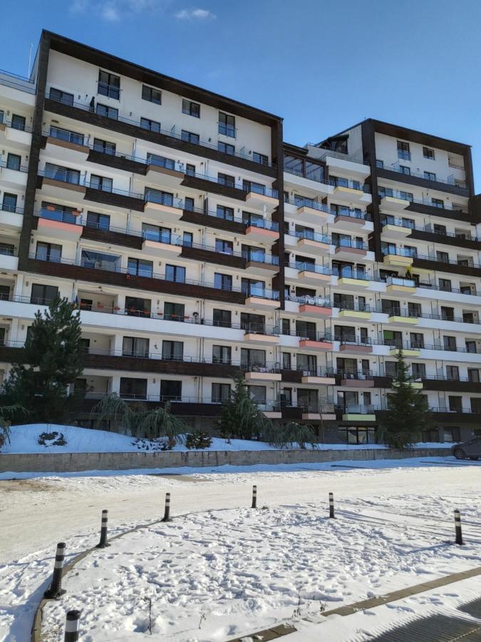 Coca Apart Mountain View Sinaia Exteriér fotografie